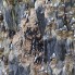 Rubini Rock Nests, Franz Josef Land