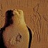 Horus