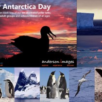Happy Antarctic Day