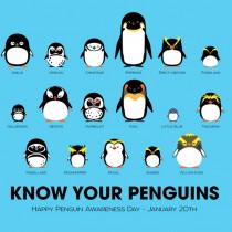 Penguin Awareness Day