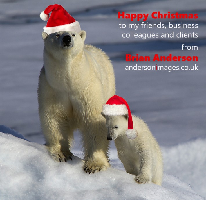 Merry Christmas and a Happy New Year
